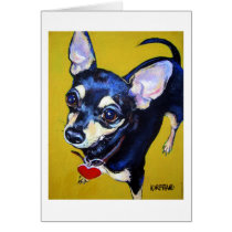 Little Bitty Chihuahua - Black and Tan Chihuahua