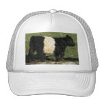 Little Black Beltie Calf Trucker Hats