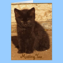 Little Black Kitten Missing You Card *Customizable cards
