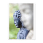 Little Blue Buddha Postcards