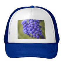 Little Blue Buds Mesh Hat