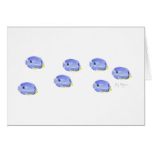 Little Blue Fish Cards