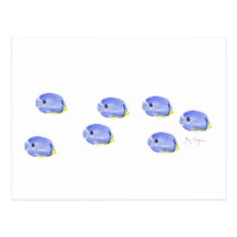 Little Blue Fish Postcard