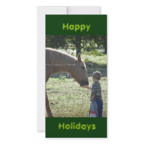Little Boy Feeding Horse Custom Photo Card