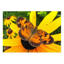 Little Butterfly ~ ATC Business Card