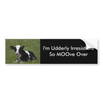 Little Calf Bumper Stickers