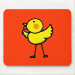 Little chick