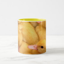 Little Chicks Tazas