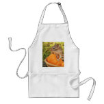 Little Chipmunk with Pumpkin Apron