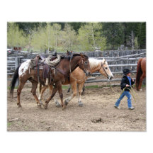 Little Cowboy Leading Horses 11x14 Art Photo