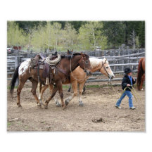 Little Cowboy Leading Horses 8x10 Photograph