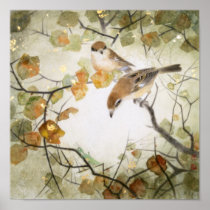 Little Creature-Bull-headed Shrikes