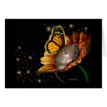 Little Daisy Dreamer Card