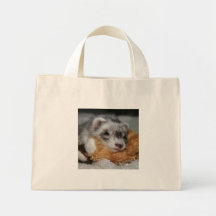 Little Dooks - "Penny" Bag