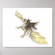 Little dragon poster