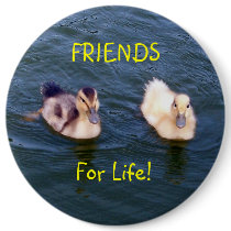 Little Ducklings Button