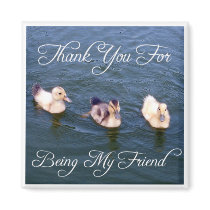 Little Ducklings Magnet