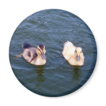 Little Ducklings Magnet