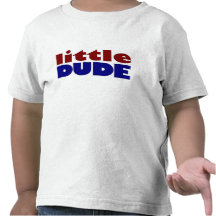 Little dude tee shirt