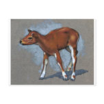 Little Fawn: Oil Pastel Painting Post Cards