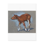 Little Fawn: Oil Pastel Painting Post Card