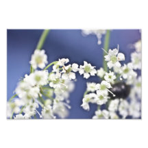 Little Flowers Photo