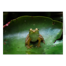 Little Frog Greeting Card