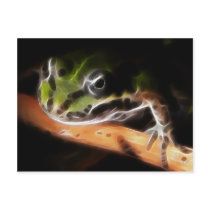 Little Frog Postcard