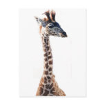 "Little Giraffe" Wildlife Animal Watercolor postcards