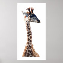 "Little Giraffe" Wildlife Animal Watercolor Posters