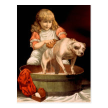 Little Girl Bathing Her Dog Postcards