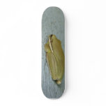 Little Green Frog Animal Skateboard