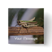 Little Green Grasshopper Badge Name Tag Pinback Buttons