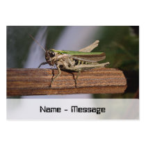 Little Green Grasshopper Bookmark Business Card Templates
