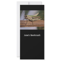 Little Green Grasshopper Bookmark Promotional Card Rack Card