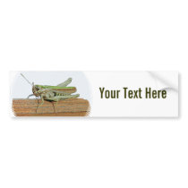 Little Green Grasshopper Cartoon Bumper Sticker