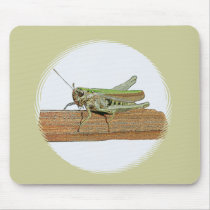 Little Green Grasshopper Cartoon Mouse Pad