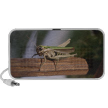 Little Green Grasshopper On A Portable Mp3 Speaker