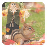 Little Harvest Chipmunk