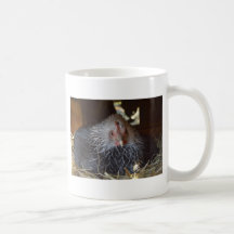 Little Japanese Bantam hen. Coffee Mugs