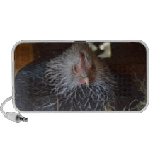 Little Japanese Bantam hen. iPod Speakers
