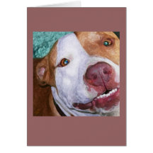 Little Johnny Sparkles Card