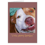 Little Johnny Sparkles Greeting Card