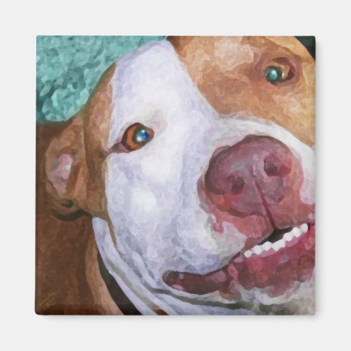 Little Johnny Sparkles Refrigerator Magnet