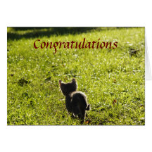 Little Kitten Multi Purpose Card