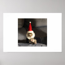 Little Kittie Poster