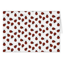 Little Ladybug Card