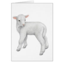 Little Lamb Greeting Card