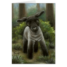 Little lamb in the woods cards