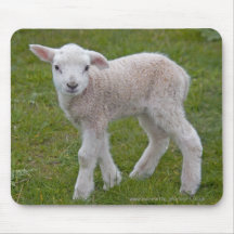 Little Lamb Mousemat